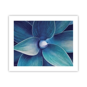 Plagát - Modrastý od neba - 50x40 cm