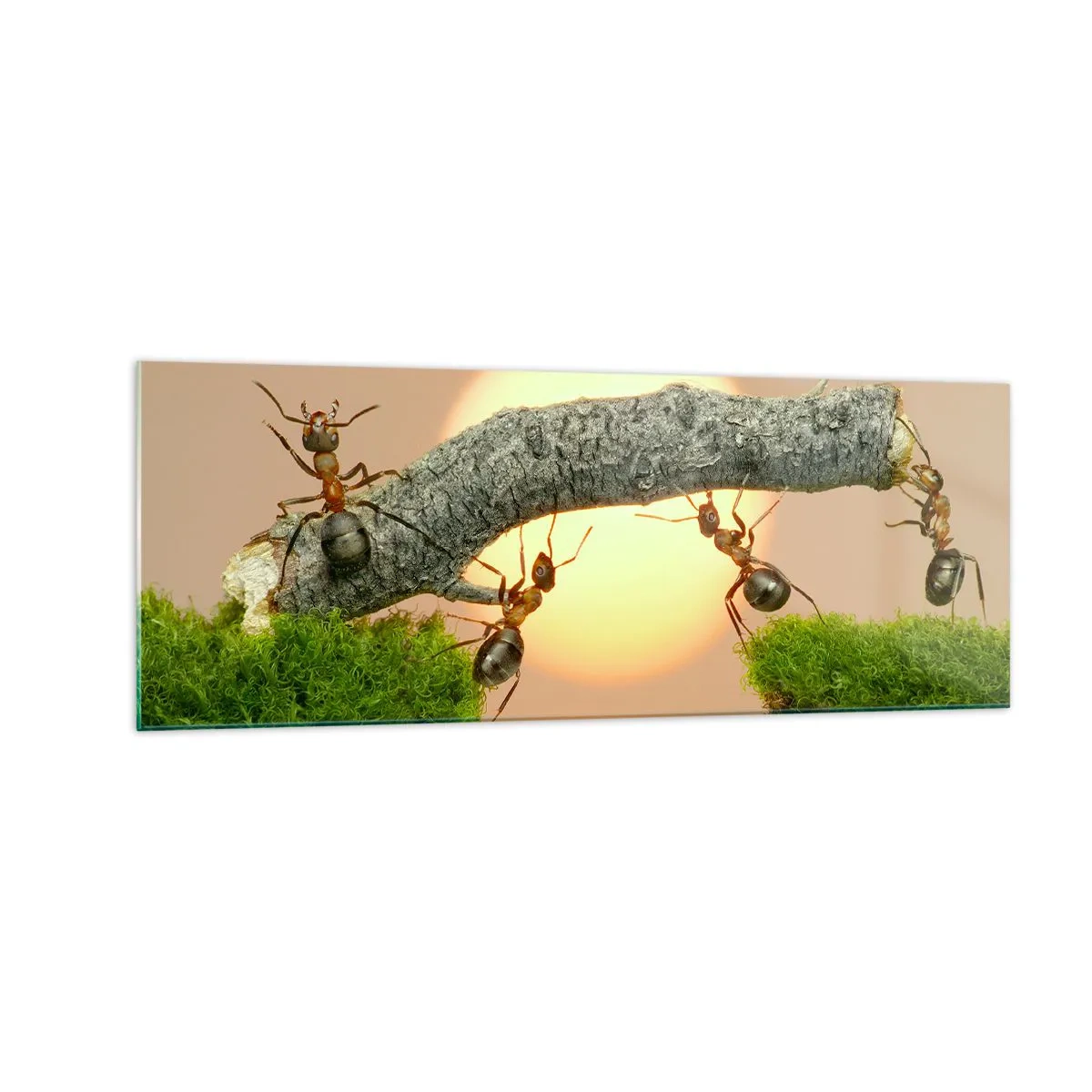 Obraz na skle - Radostná, spoločná práca - 140x50 cm