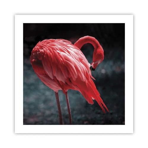 Plagát - Karmínová báseň prírody - 50x50 cm