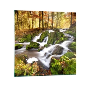 Obraz na skle - Chvatom jesenným lesom - 70x70 cm
