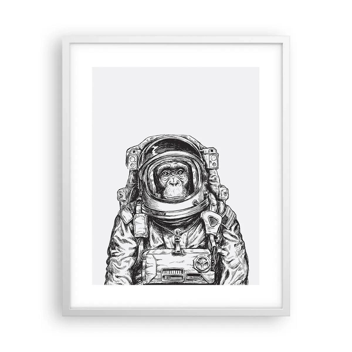 Plagát v bielom ráme - Alternatívny vývoj - 40x50 cm