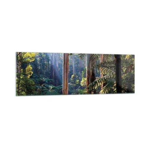 Obraz na skle - Poviedka lesa - 160x50 cm