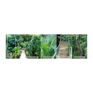 Vzorka fototapety Premium Canvas - Welcome to the jungle! - Krajina, Džungle, Honduras - 100x30 cm