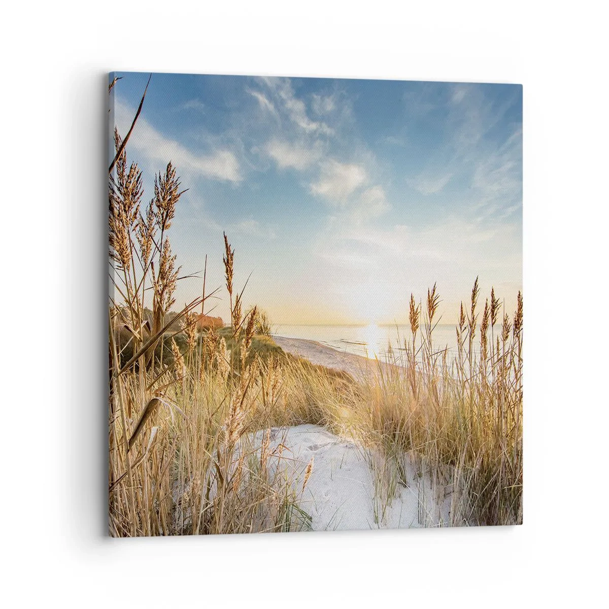 Obraz na plátne - Severná pláž - 70x70 cm