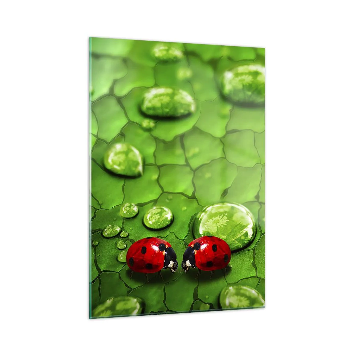 Obraz na skle - Stretnutie v zeleni - 50x70 cm
