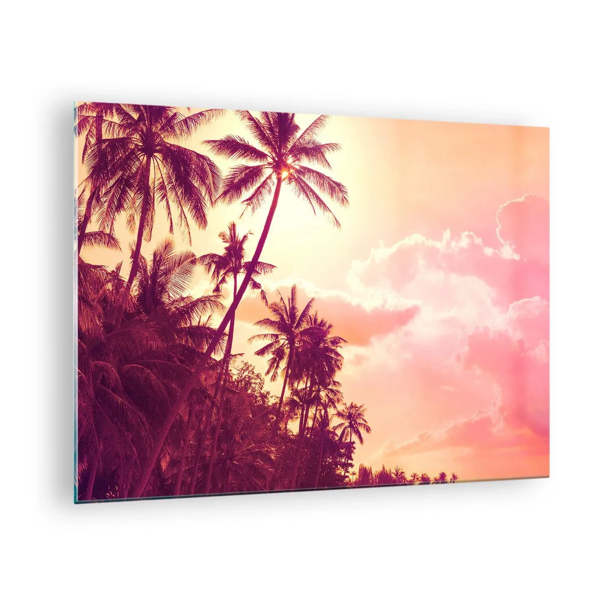 Obraz na skle - Tropické palmy vo svetle zapadajúceho slnka na pozadí ružovej oblohy - 70x50cm - Musíš si vybrať - Moderná nástenná dekorácia do obývacej izby a spálne ARTTOR
