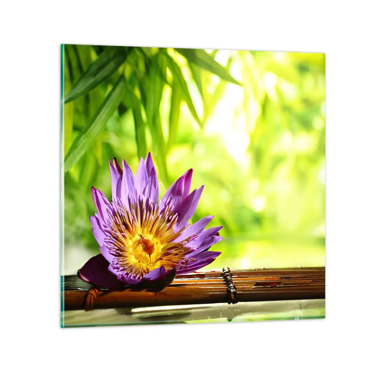 Obraz na skle - Na ázijskom slnku - 70x70 cm