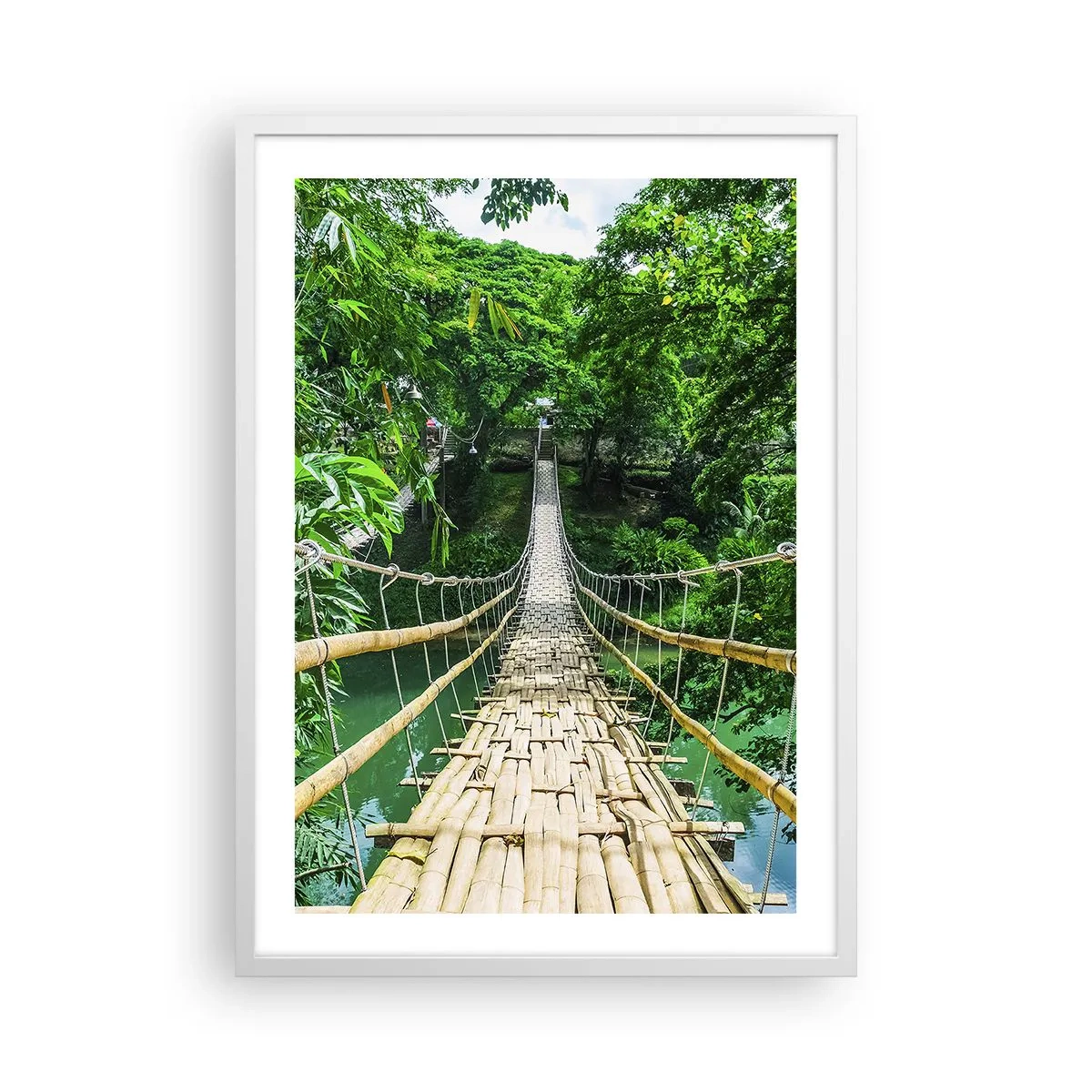 Plagát v bielom ráme - Opičí most nad zeleňou - 50x70 cm
