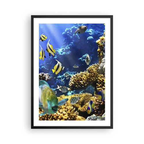 Plagát v čiernom ráme - Podvodný svet s farebnými rybami a koralovým útesom - 50x70cm - Veľká prevádzka na prázdninovom chodníku - Moderná nástenná dekorácia do obývacej izby a spálne ARTTOR