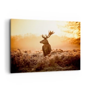 Obraz na plátne - Pán na panstve - 100x70 cm