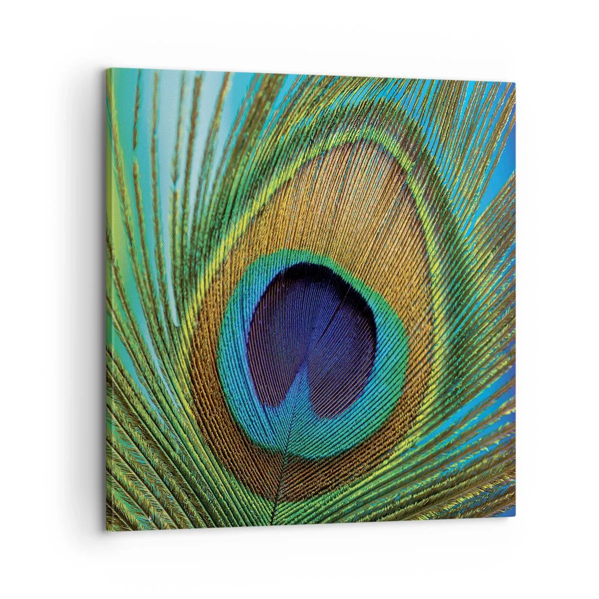 Obraz na plátne - Tvárou v tvár - 60x60 cm
