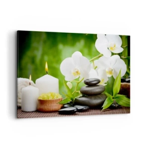 Obraz na plátne - Voňavý, kvetinový, jemný dotyk - 100x70 cm