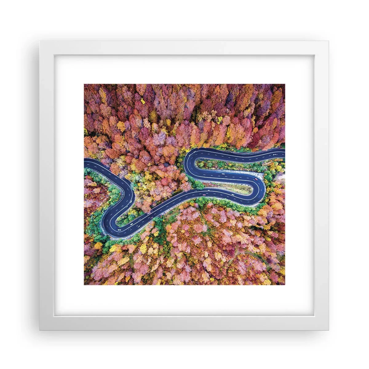 Plagát v bielom ráme - Kľukatá cesta lesom - 30x30 cm