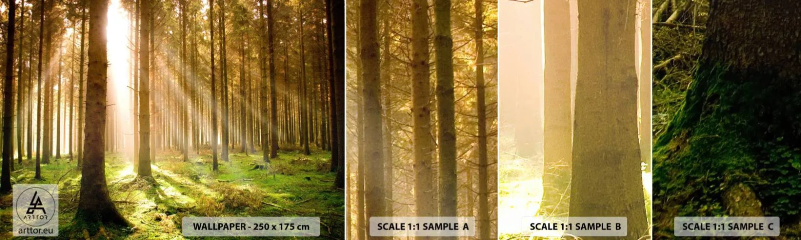 Vzorka samolepiacej fototapety Deluxe Sticker - Čoskoro sa objavia elfovia - les, Lúče slnka, Príroda - 100x30 cm