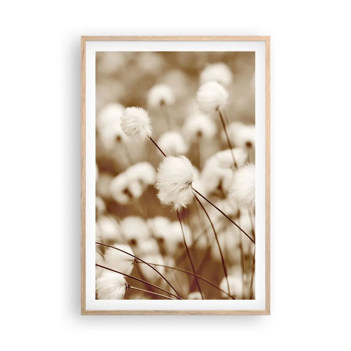 Plagát v ráme zo svetlého duba - Chlpatý lán - 61x91 cm