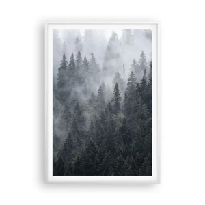 Plagát v bielom ráme - Lesné svitania - 70x100 cm