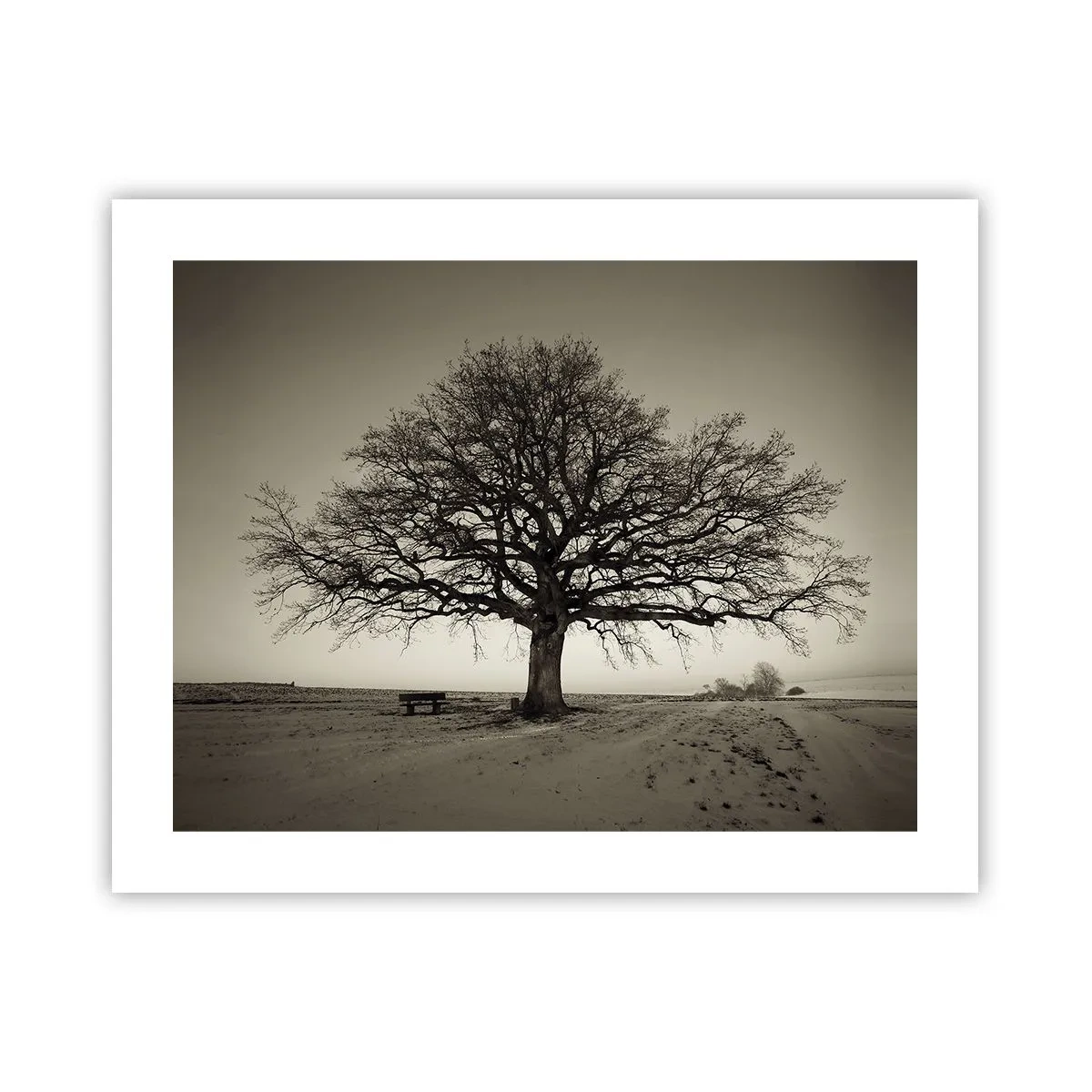 Plagát - Odtiaľ až do večnosti - 50x40 cm