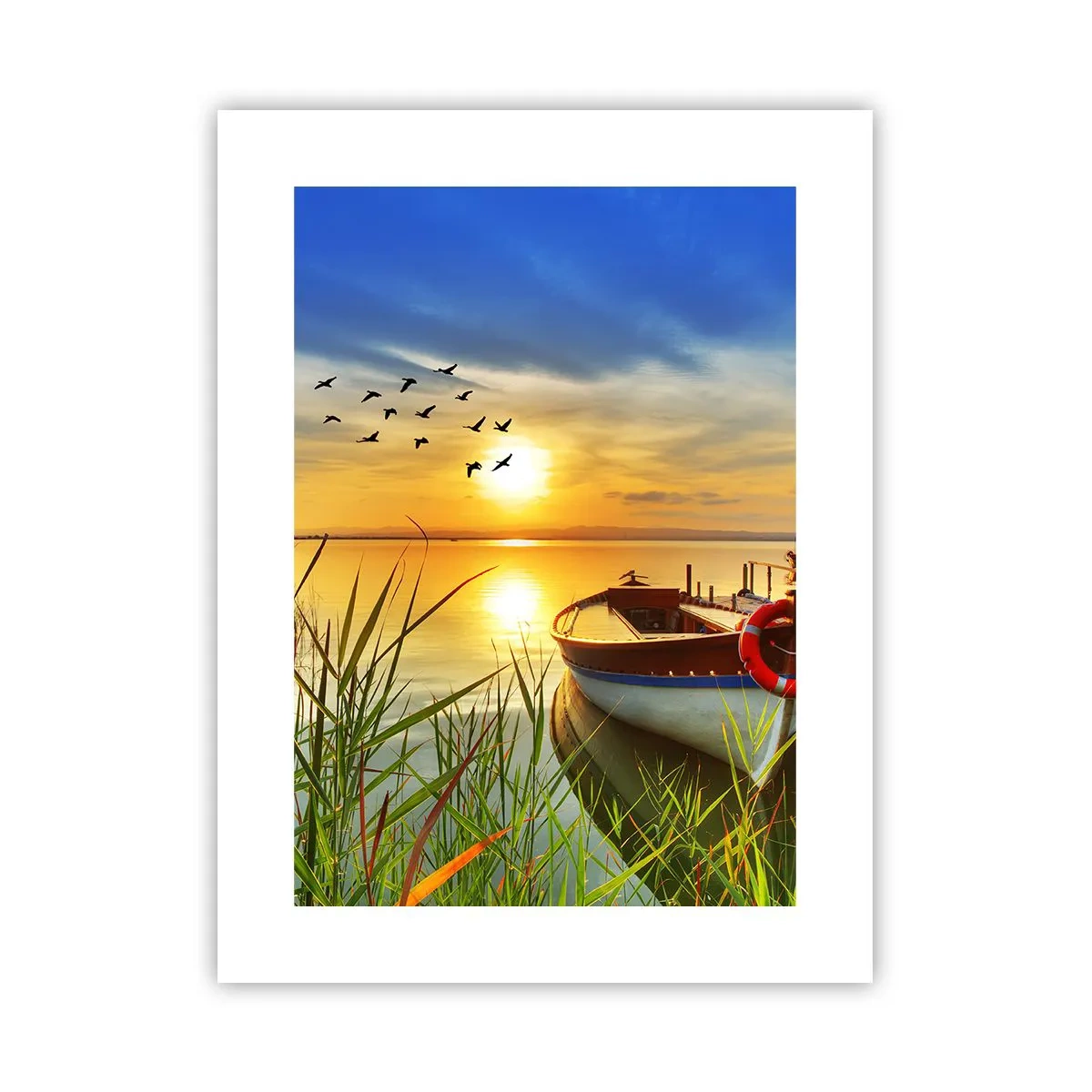 Plagát - Kormorány už odlietajú - 30x40 cm