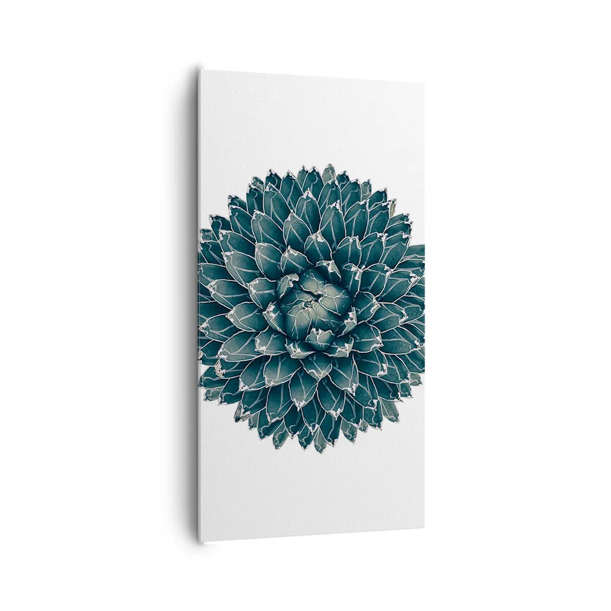 Obraz na plátne - Hviezda púšte - 65x120 cm