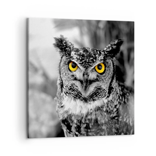 Obraz na plátne - Nič sa neschová - 60x60 cm