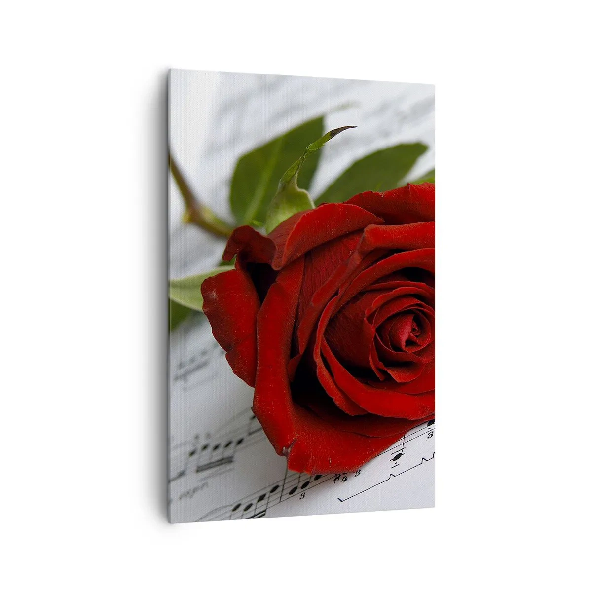 Obraz na plátne - Hudba pocitu v šarlátovej - 80x120 cm