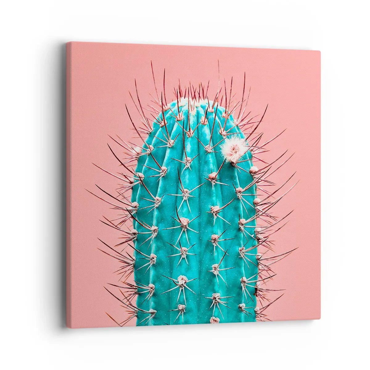 Obraz na plátne - Len pozeraj - 40x40 cm