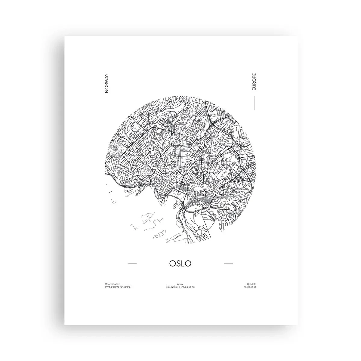 Plagát - Anatómia Osla - 40x50 cm