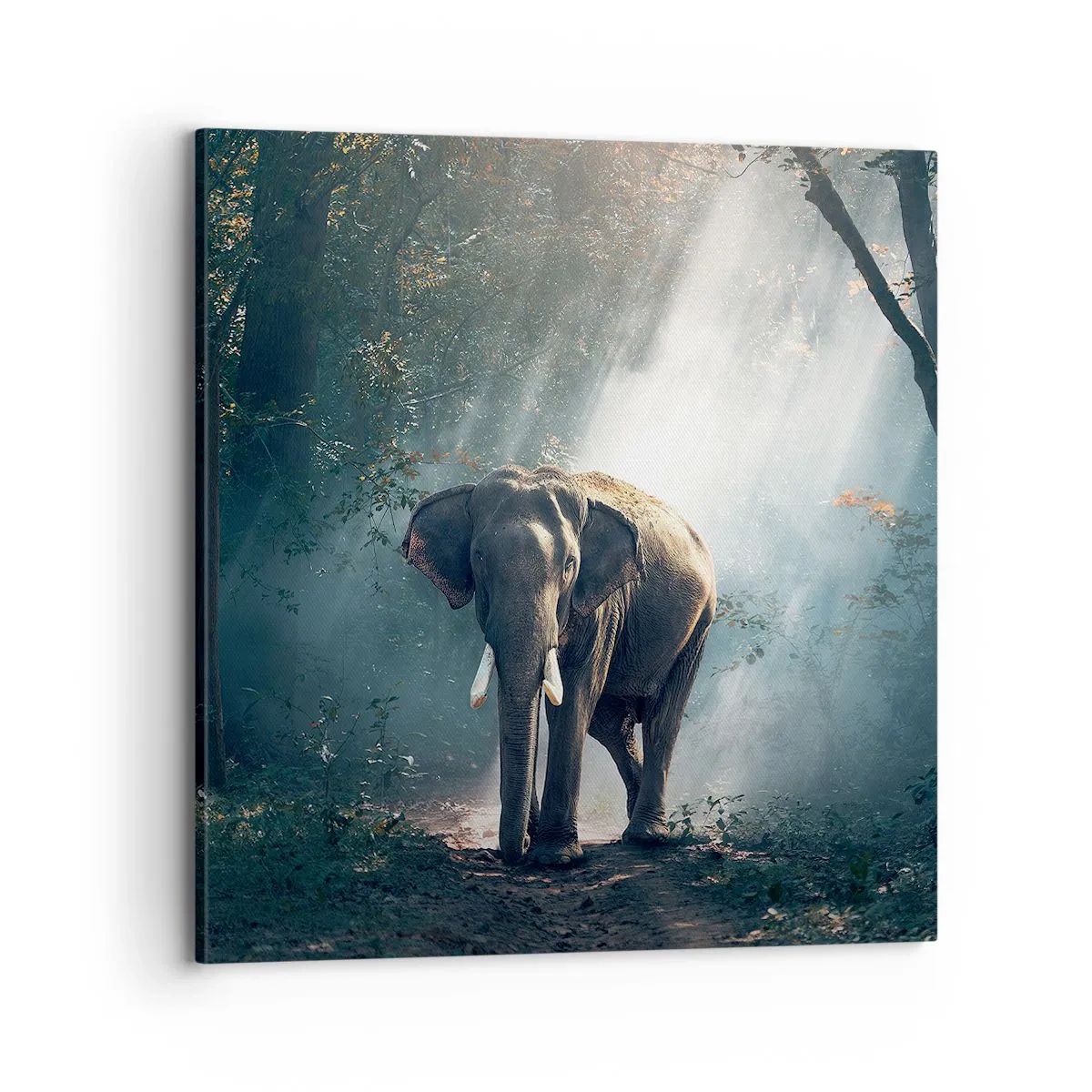 Obraz na plátne - Pokojná prechádzka - 70x70 cm