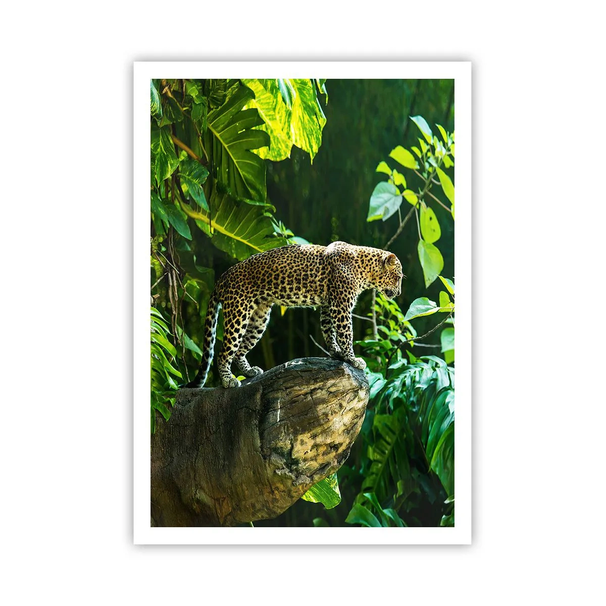 Plagát - Na lov? - 70x100 cm