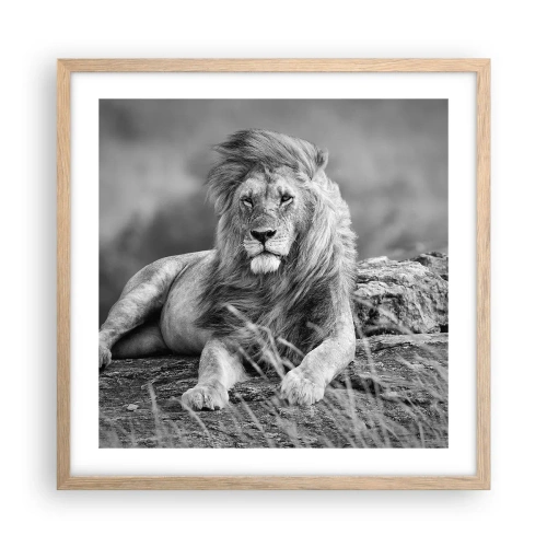 Plagát v ráme zo svetlého duba - Kráľovská siesta - 50x50 cm