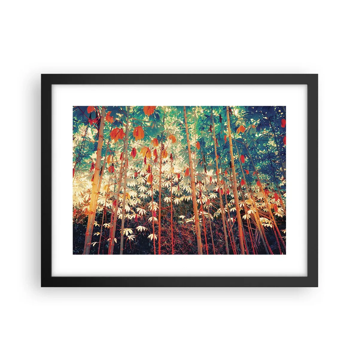 Plagát v čiernom ráme - Tajný život listov - 40x30 cm