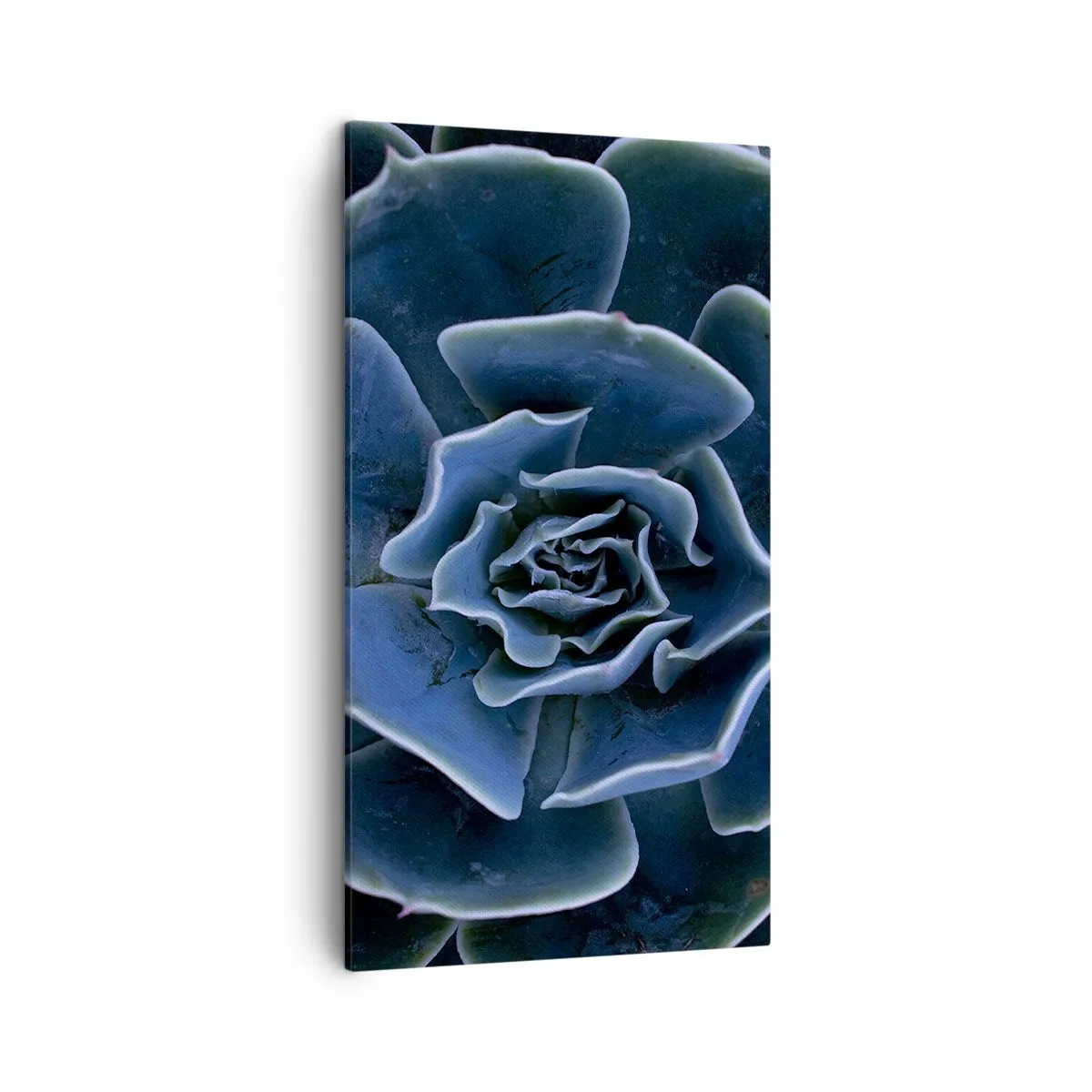 Obraz na plátne - Púštny kvet - 45x80 cm