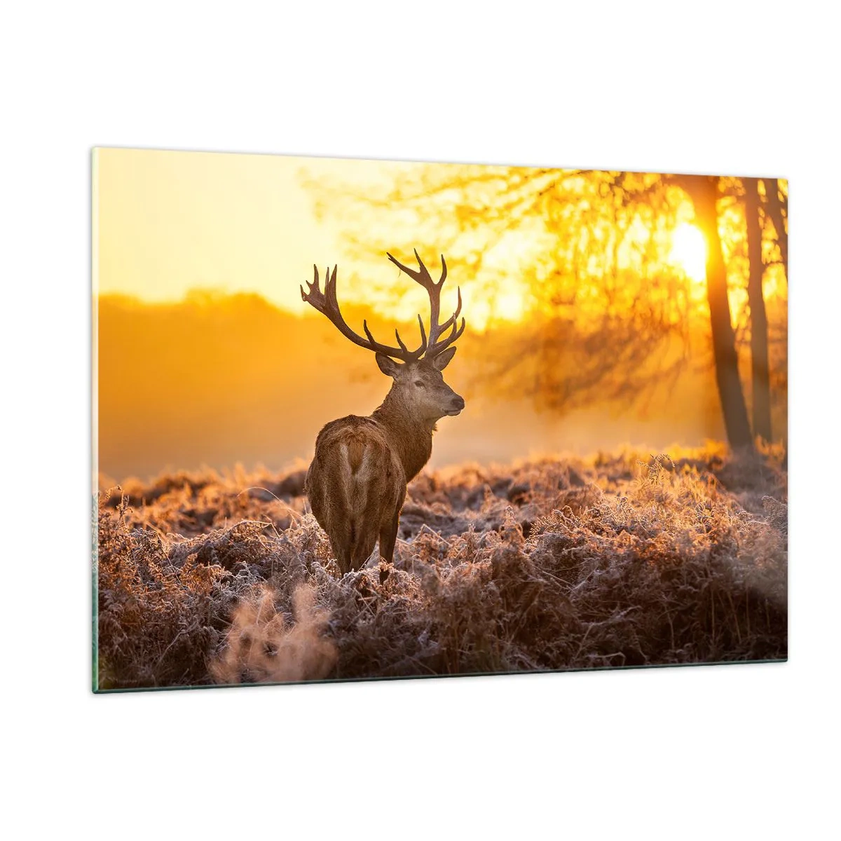 Obraz na skle - Kráľ jesenného lesa - 120x80 cm