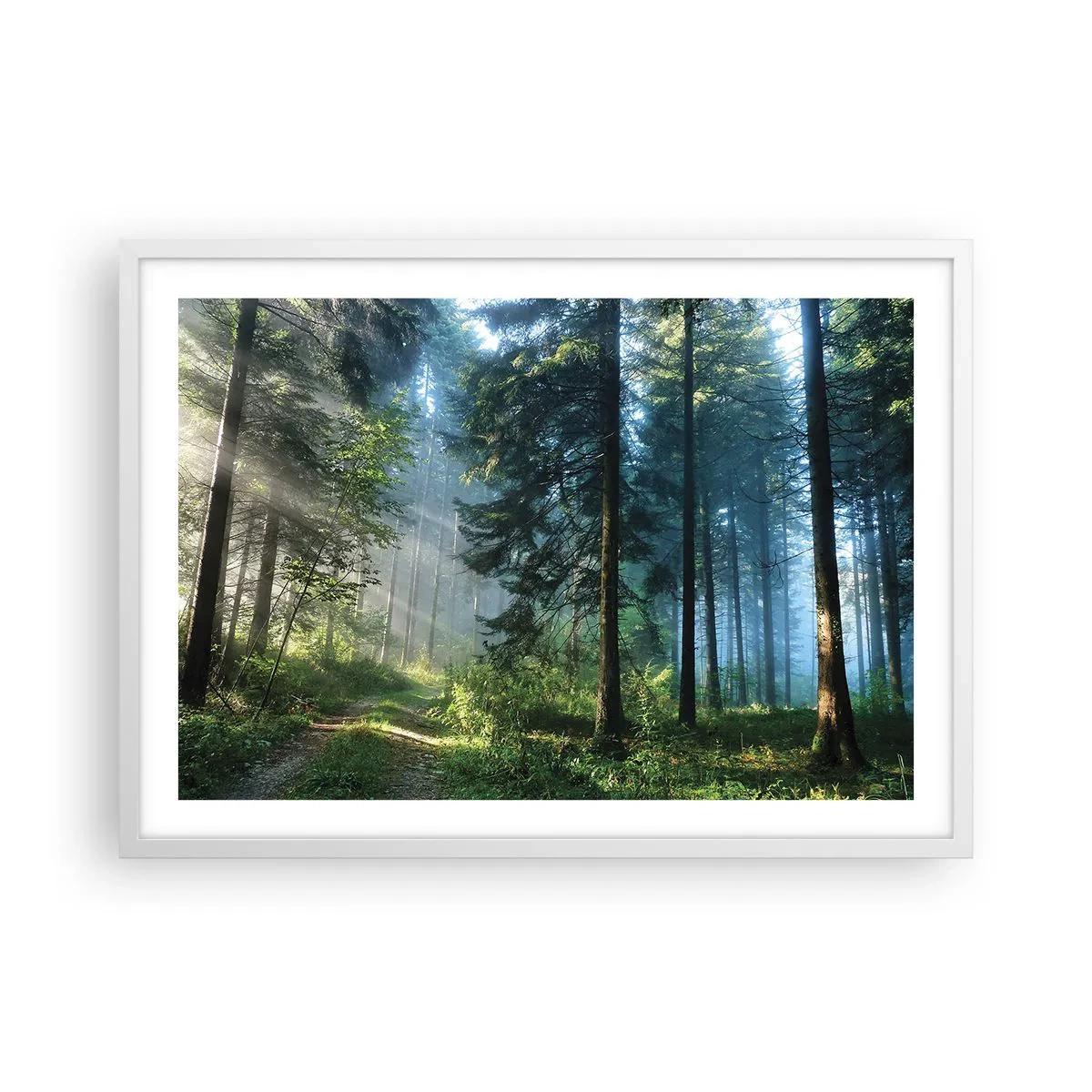 Plagát v bielom ráme - Žiariaci za úsvitu - 70x50 cm