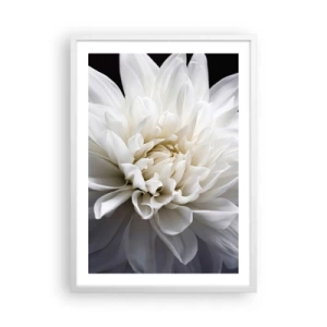 Plagát v bielom ráme - Ráno s nevestou - 50x70 cm