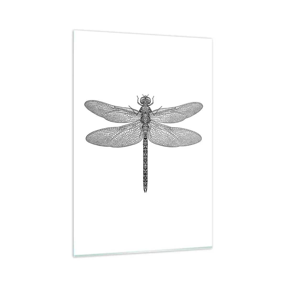 Obraz na skle - Presnosť prírody - 80x120 cm