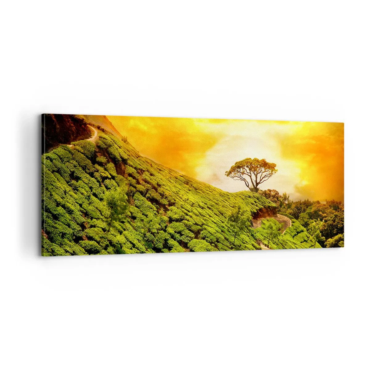 Obraz na plátne - Kľukatým chodníkom, zeleným úbočím - 100x40 cm