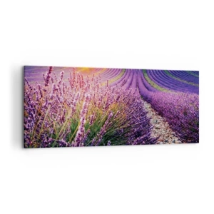 Obraz na plátne - Voňavý lán - 120x50 cm