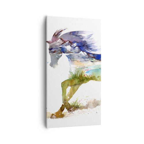 Obraz na plátne - Z lúky priamo do neba - 55x100 cm