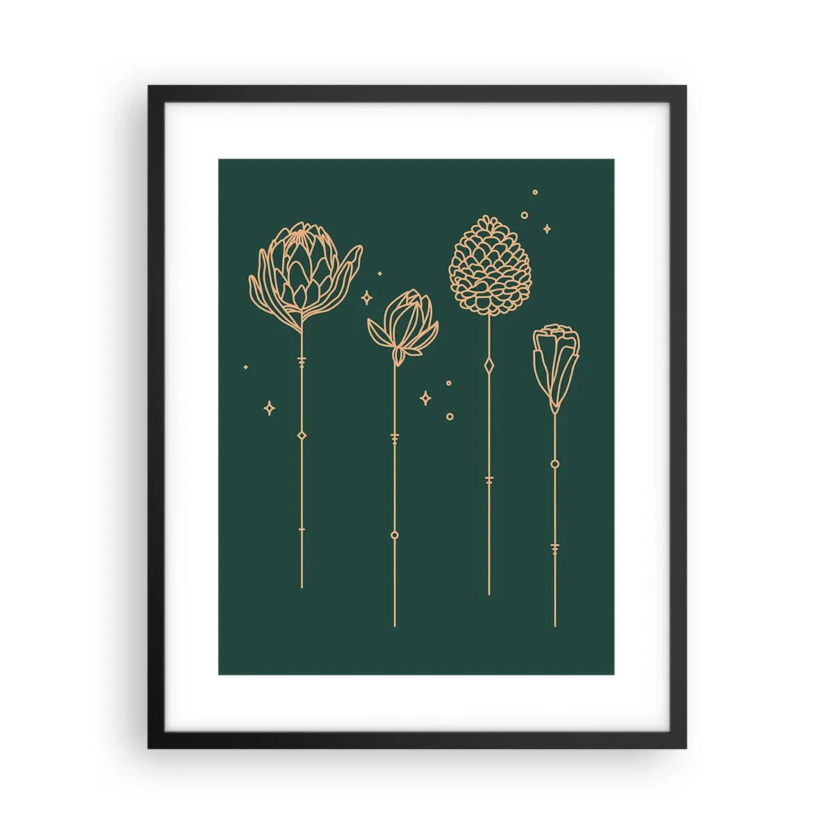 Plagát v čiernom ráme - Bylinky - 40x50 cm