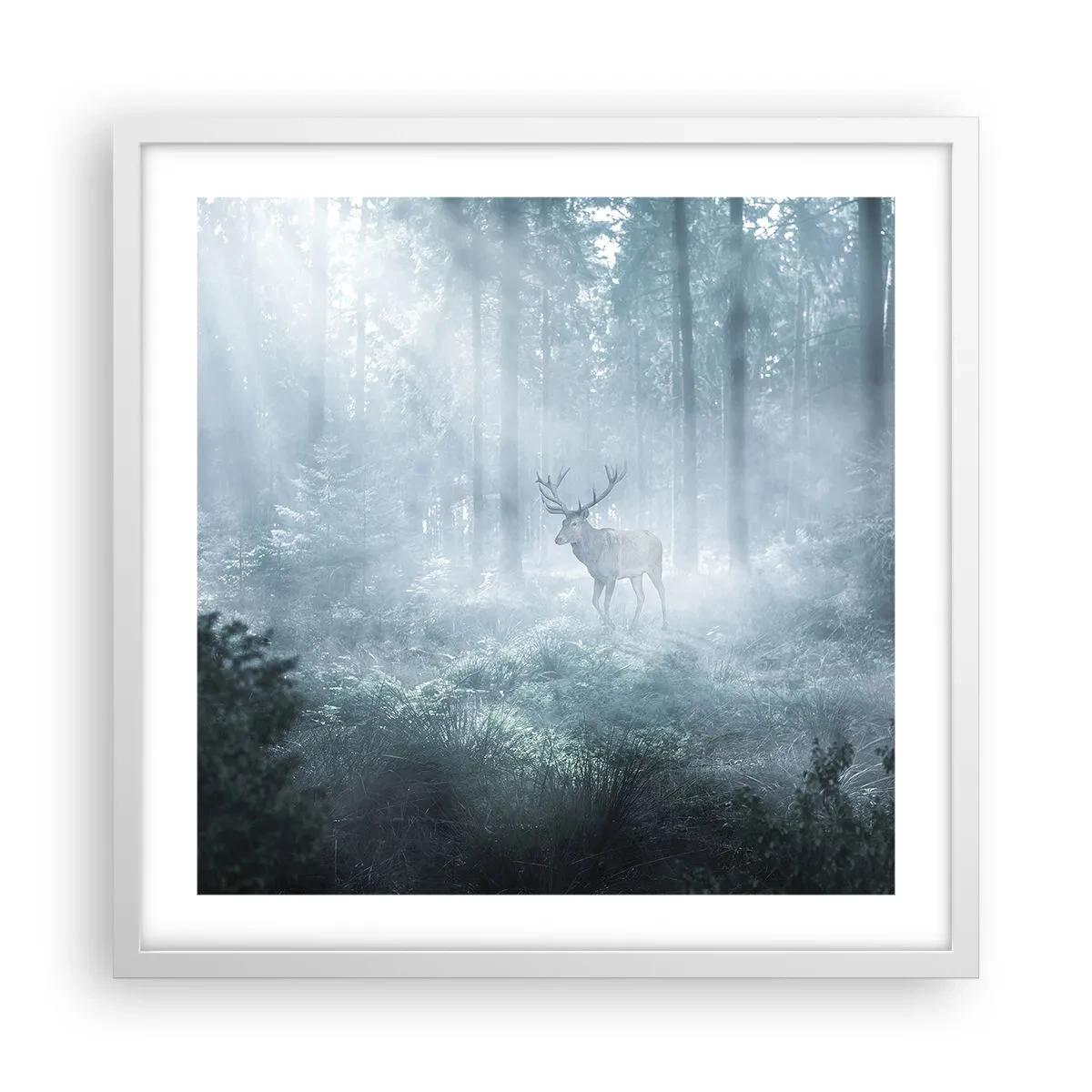 Plagát v bielom ráme - Ranná obchôdzka sídliska - 50x50 cm