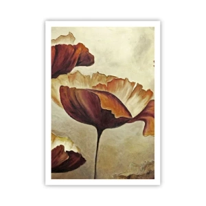 Plagát - Lán lúky - 70x100 cm