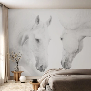 Fototapeta Premium Sand - Je to priateľstvo…? - Kone, Príroda, Zvieratá - 200x140 cm
