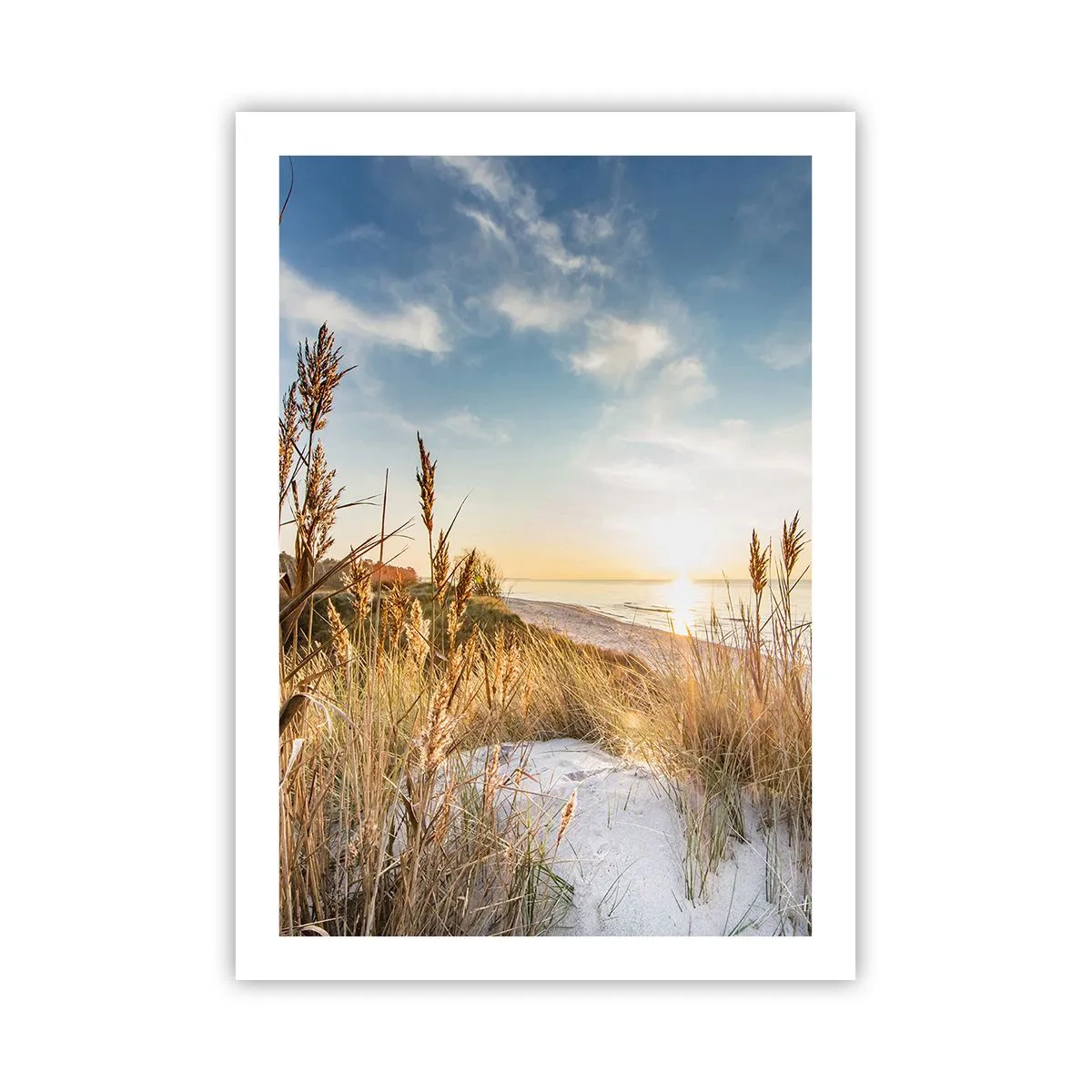 Plagát - Severná pláž - 50x70 cm