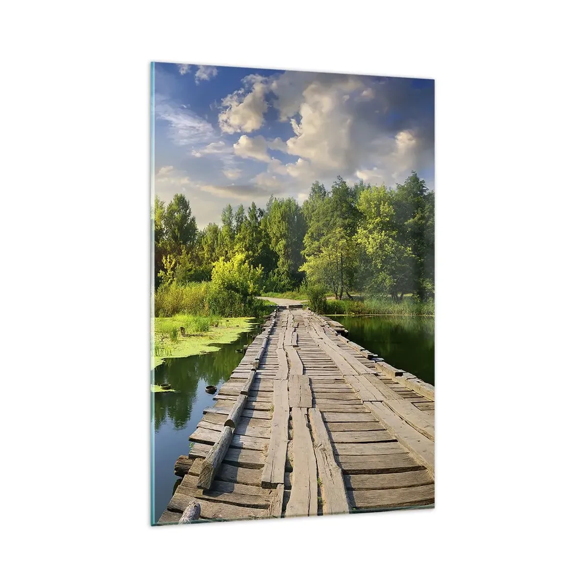 Obraz na skle - Leto, leto všade - 80x120 cm