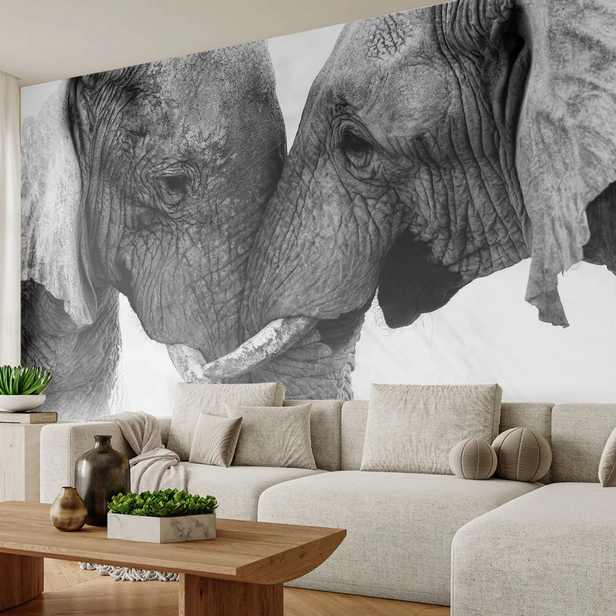 Fototapeta Premium Canvas - Úprimné vyznanie - Slon, Zvieratá, Afriky - 250x175 cm
