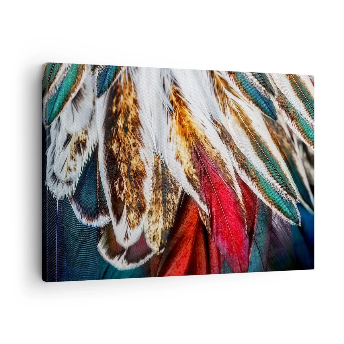 Obraz na plátne - Detailný záber viacfarebných pierok v žiarivých, intenzívnych farbách - 70x50cm - Tajomstvo letu - Moderná nástenná dekorácia do obývacej izby a spálne ARTTOR