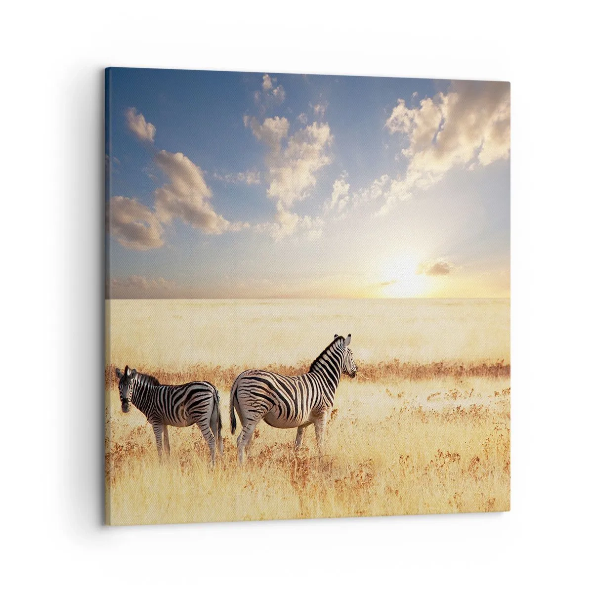 Obraz na plátne - Choď odtiaľto, neruš pokoj - 50x50 cm