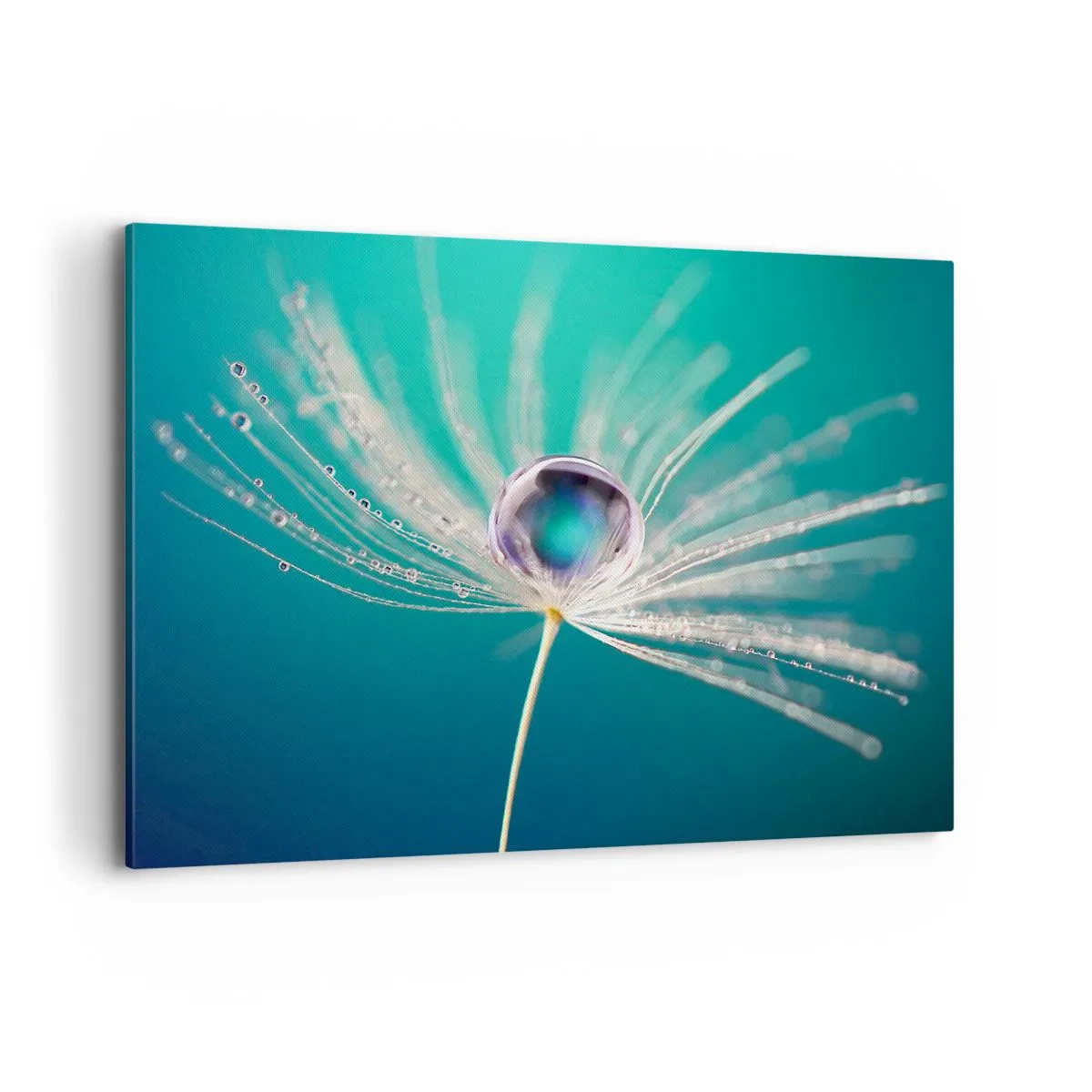 Obraz na plátne - Mystický okamih - 100x70 cm