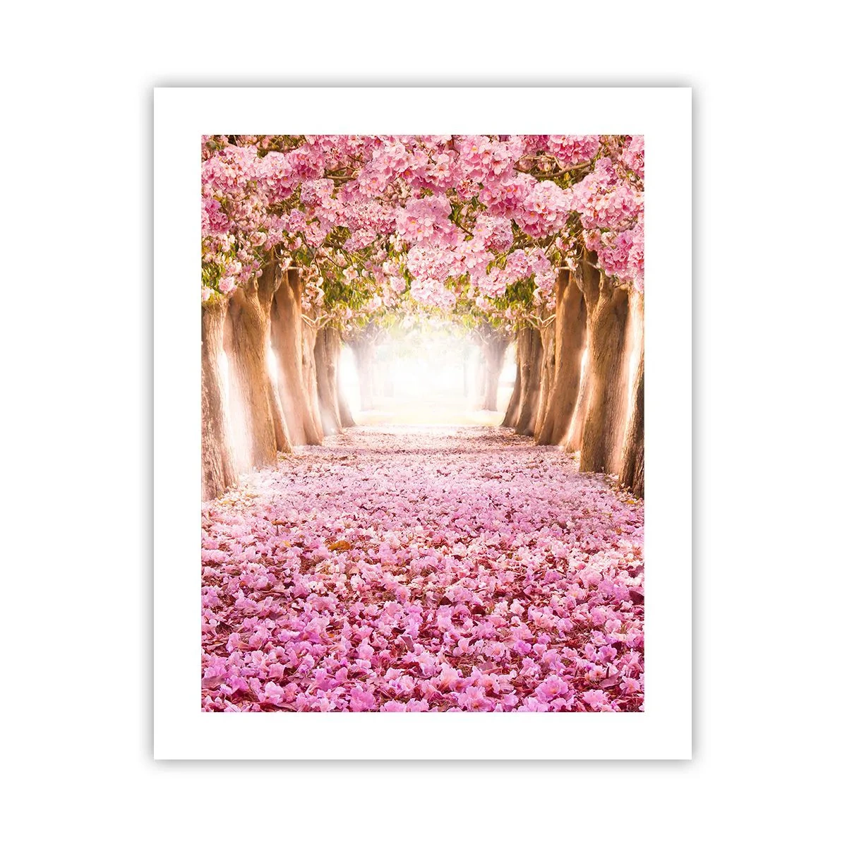 Plagát - Cesta do raja - 40x50 cm